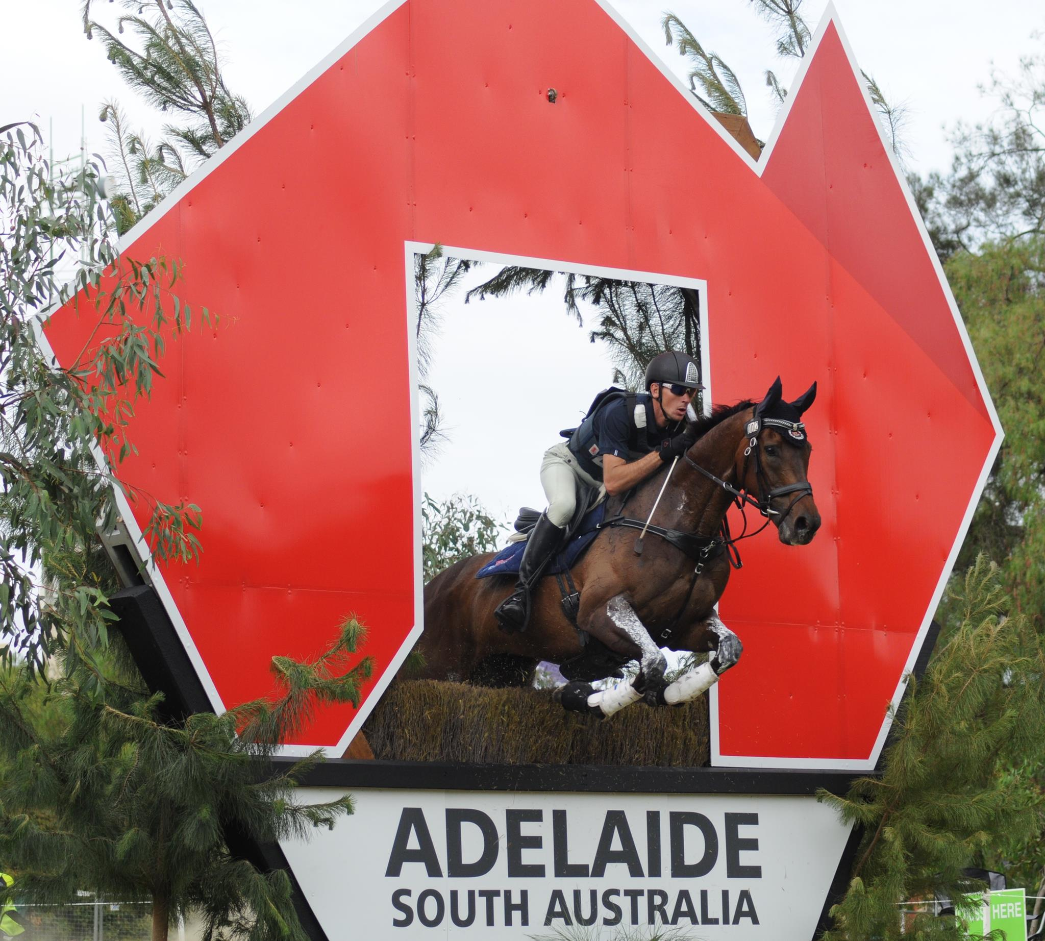 Adelaide Equestrian Festival Equestrian Australia